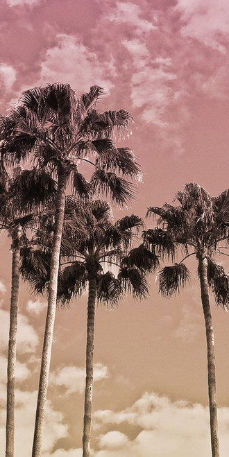 Desired Vacation 2 Poster Print by Marcus Prime # MPRN066B