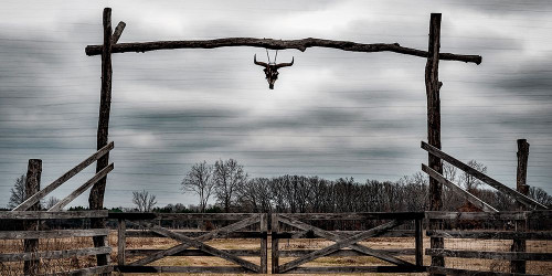 Cattle Ranch Poster Print by Marcus Prime # MPRN281A