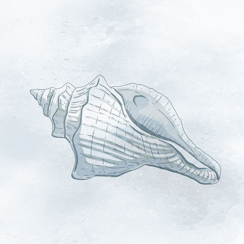 Shell Storm 2 Poster Print by Marcus Prime # MPSQ077B