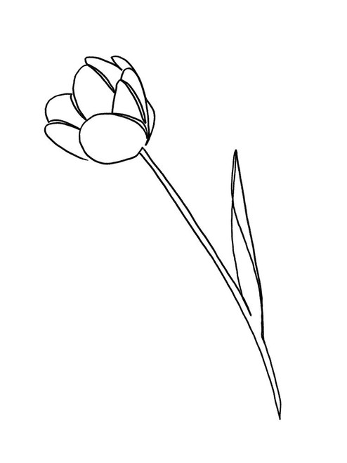Paper Tulip 1 Poster Print by Marcus Prime # MPRC756A