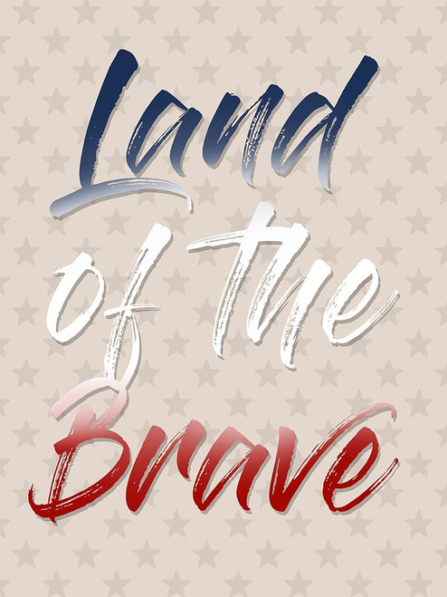 Land Of The Brave Poster Print by Marcus Prime # MPRC753A