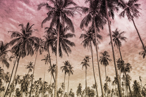 Desired Destinations 1 Poster Print by Marcus Prime # MPRC650A