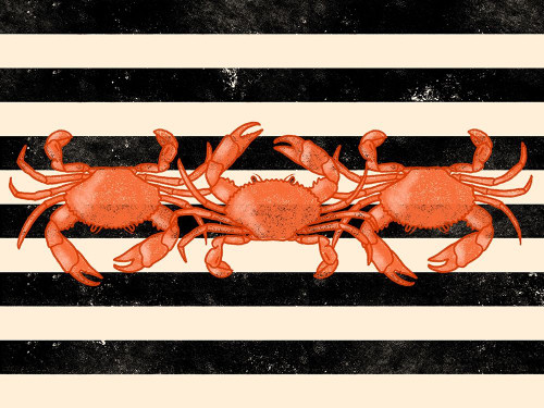 Crab Dance Poster Print by Marcus Prime # MPRC655A