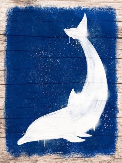 Dolphin Blast 1 Poster Print by Marcus Prime # MPRC657B