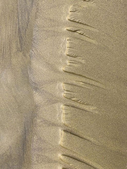 Sand Stripe IV Poster Print by Grayscale Grayscale # MJMPAT00407