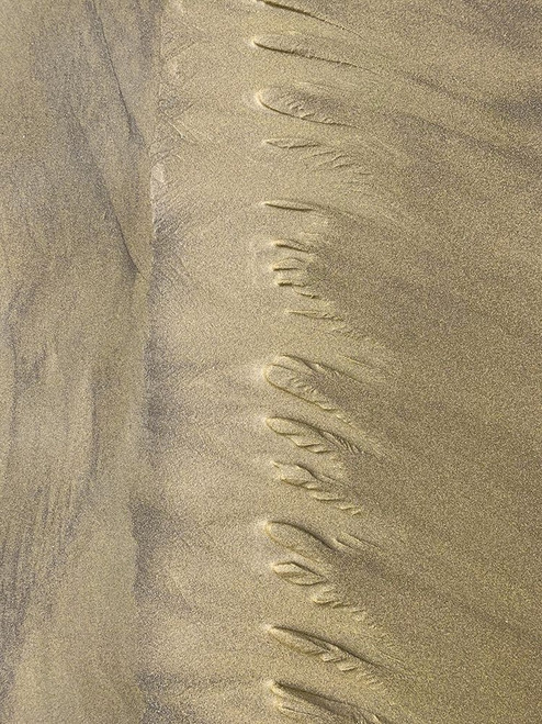 Sand Stripe V Poster Print by Grayscale Grayscale # MJMPAT00408