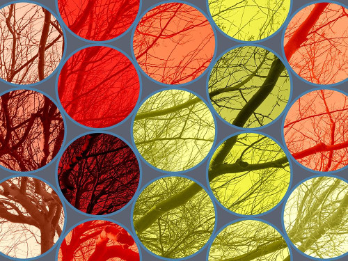 Circle Textures IV Poster Print by Grayscale Grayscale # MJMCOL00009