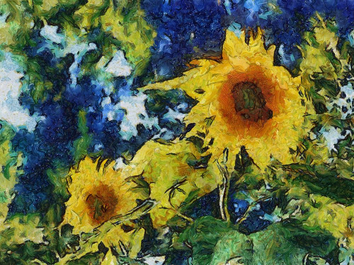 Sunflowers  Poster Print by Michelle Calkins # MCK117028