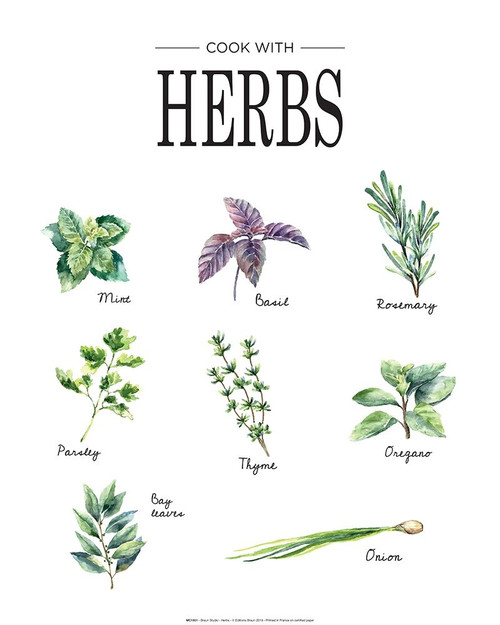 Herbs Poster Print by Braun Studio Braun Studio # MC1351