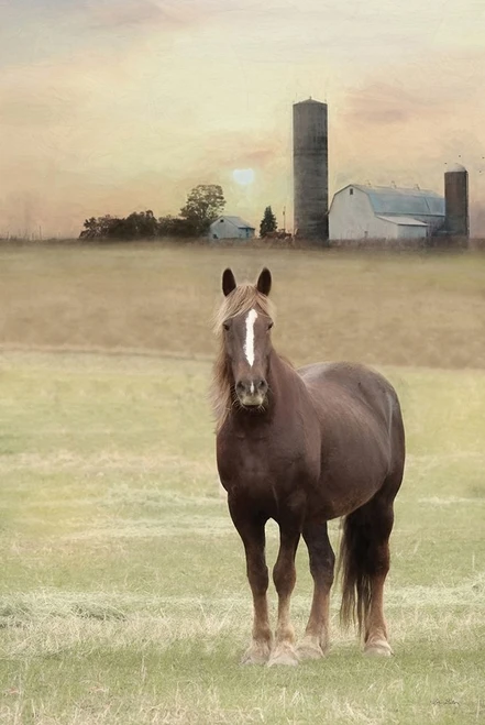 Jackson Horse Poster Print by Lori Deiter # LD2195