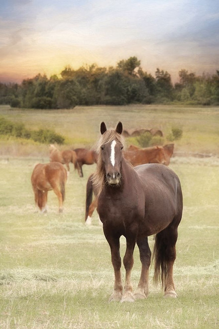 Jackson Horse Farm Poster Print by Lori Deiter # LD2007
