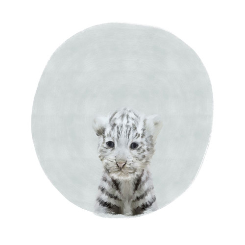 Baby White Tiger Gray Poster Print by Leah Straatsma # LSSQ001F