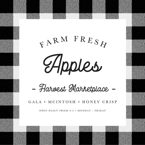 Farm Fresh Apples Buffalo Check Poster Print by Leah Straatsma # LSSQ002