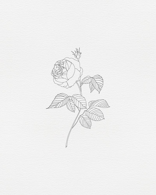 Black Rose 3 Poster Print by Leah Straatsma # LSRC162C