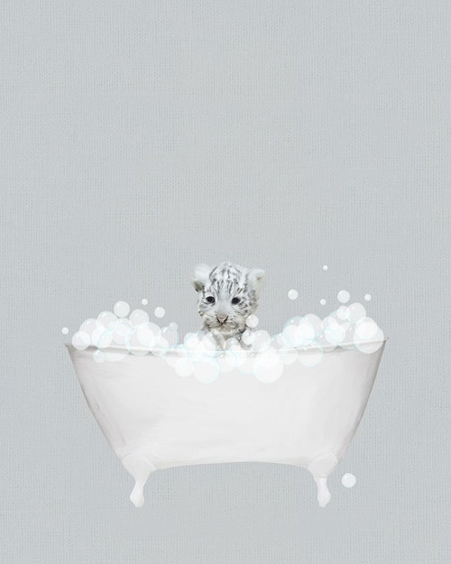 White Tiger Blue Bath Poster Print by Leah Straatsma # LSRC104H