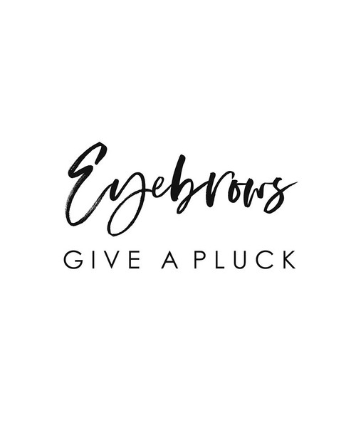 Eyebrows Give a Pluck Poster Print by Leah Straatsma # LSRC046B