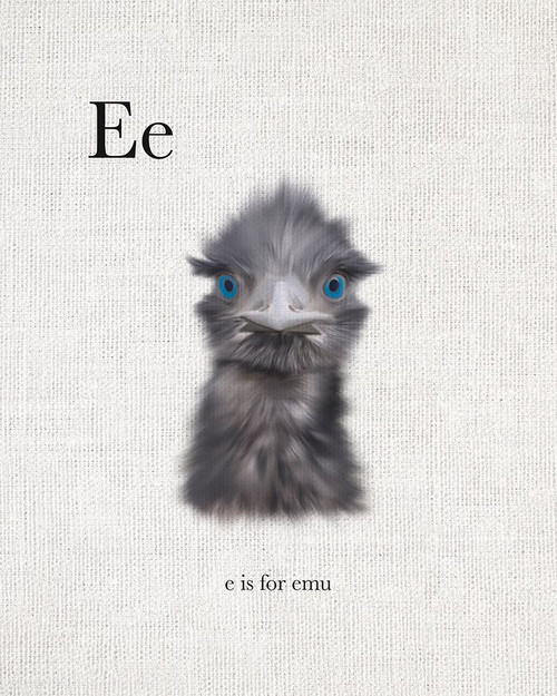 E is for Emu Poster Print by Leah Straatsma # LSRC047E