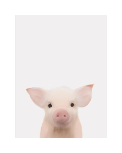 Piglet Gray Poster Print by Leah Straatsma # LSRC008N