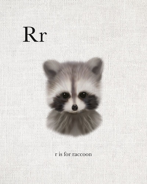 R is for Raccoon Poster Print by Leah Straatsma # LSRC047R