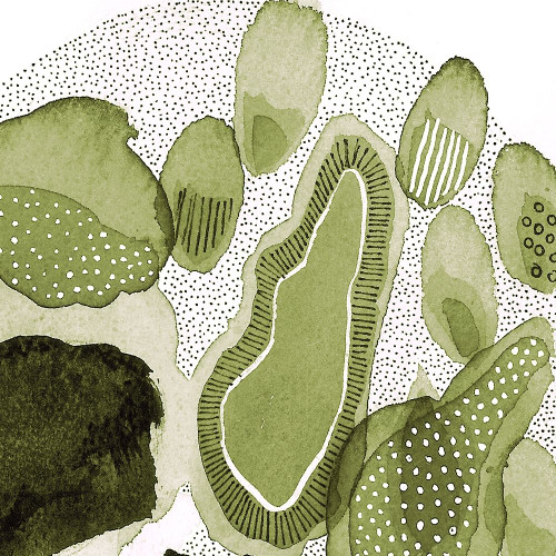 Nature Evolved 2 Poster Print by Kim Rupe # KRUSQ006B