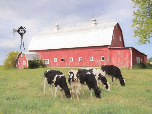 Henderson Cows    Poster Print by Lori Deiter # LD1753