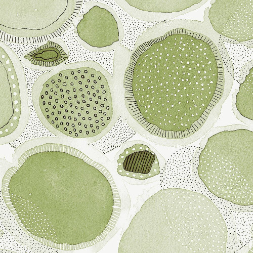 Nature Evolved 1 Poster Print by Kim Rupe # KRUSQ006A