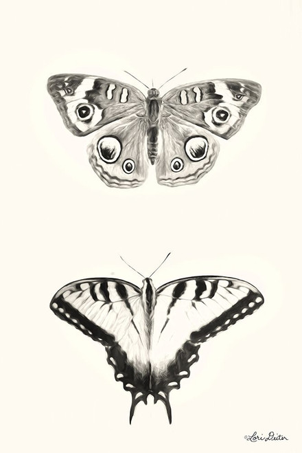 Butterflies     Poster Print by Lori Deiter # LD1639