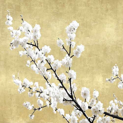 Blossoms on Gold I Poster Print by Kate Bennett # KTB116621