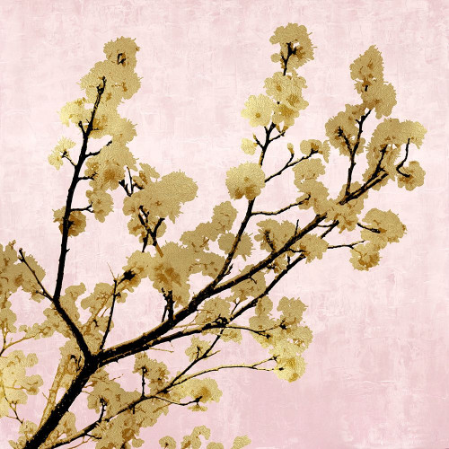 Gold Blossoms on Pink II Poster Print by Kate Bennett # KTB116626