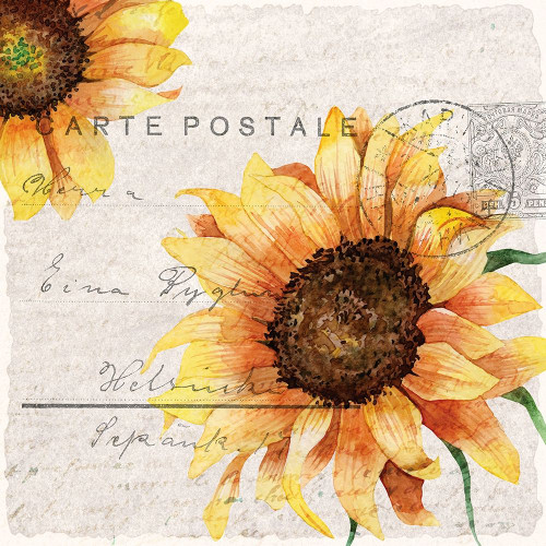 Sunflower Postcard 2 Poster Print by Kimberly Allen # KASQ2100B