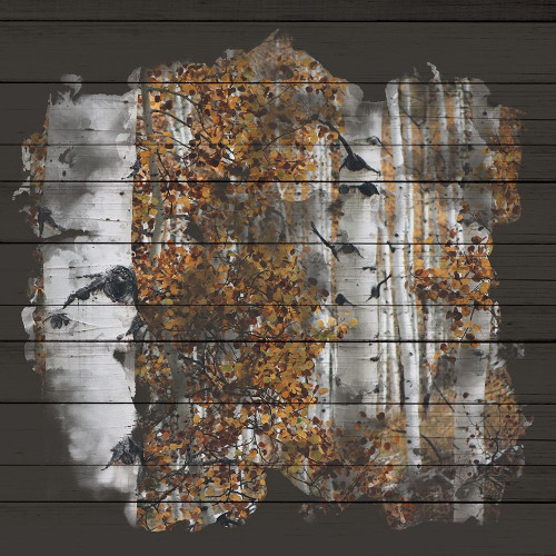 Aspen Wood 2 Poster Print by Kimberly Allen # KASQ2058B