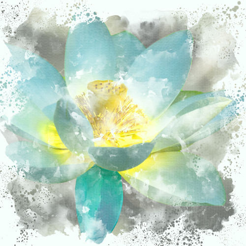 Teal Lotus 1 Poster Print by Kimberly Allen # KASQ2069A