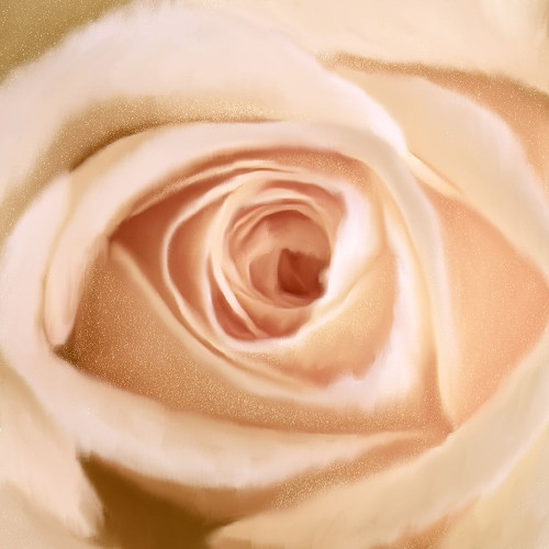 Rosey Poster Print by Kimberly Allen # KASQ2012C