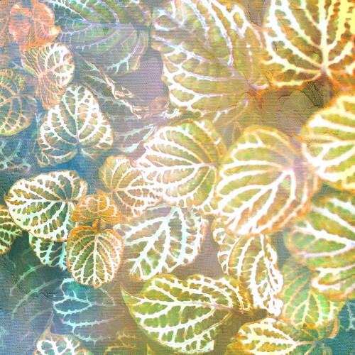 Jungle Leaves 2 Poster Print by Kimberly Allen # KASQ1993B