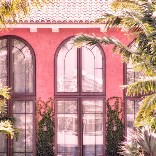 Palm Window Poster Print by Kimberly Allen # KASQ1998