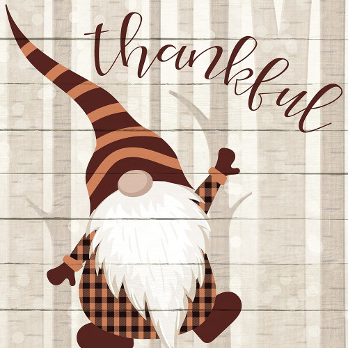 Autumn Gnomes 1 Poster Print by Allen Kimberly # KASQ1926A