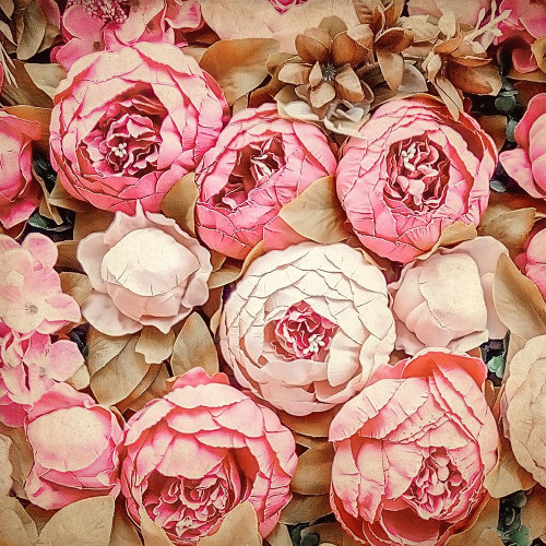 Paris Roses Poster Print by Allen Kimberly # KASQ1902B