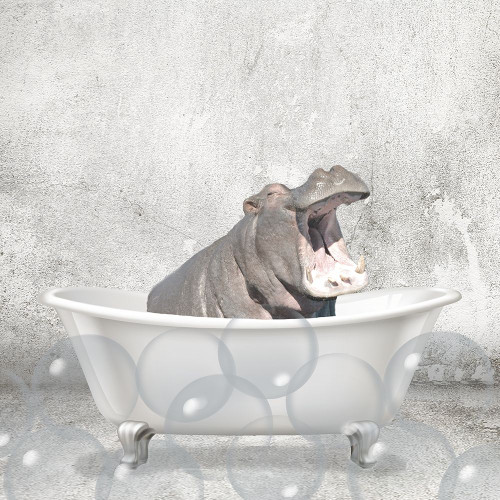 Baby Hippo Bath Poster Print by Allen Kimberly # KASQ1835D