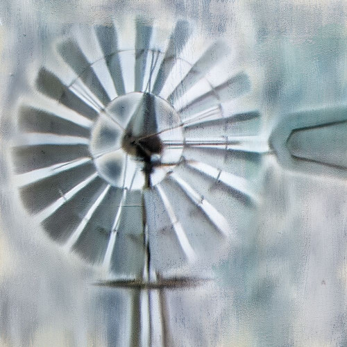 In The Wind Poster Print by Allen Kimberly # KASQ1798