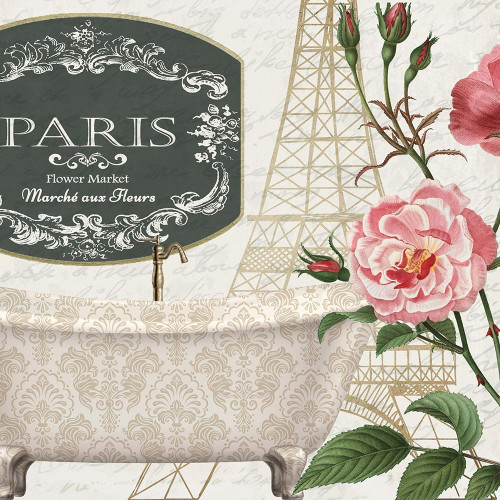 Salle de Bains 1 Poster Print by Allen Kimberly # KASQ1756A