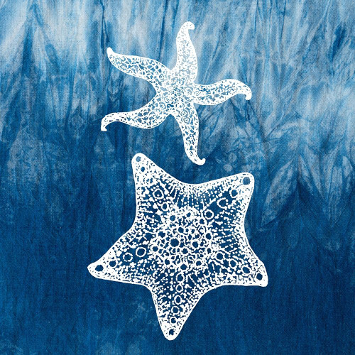 Our Sails 2 Poster Print by Allen Kimberly # KASQ1794A