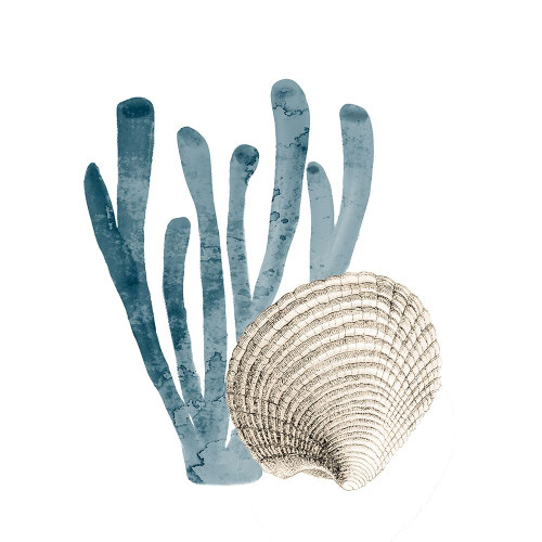 Coral Cove Blue 4 Poster Print by Allen Kimberly # KASQ1747C
