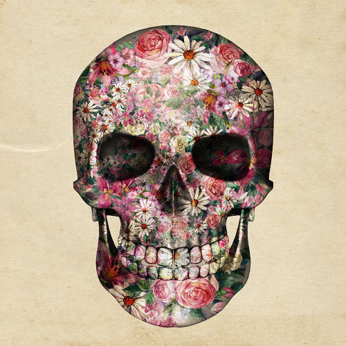 Floral Skull 2 Poster Print by Allen Kimberly # KASQ1716A