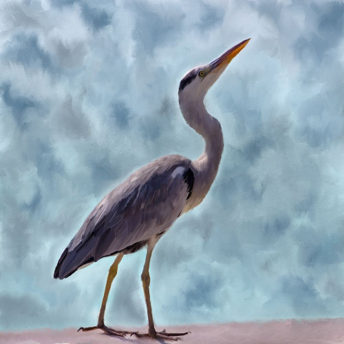 Heron Poster Print by Allen Kimberly # KASQ1685A