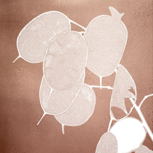 Rose Gold Leaves 2 Poster Print by Allen Kimberly # KASQ1655B