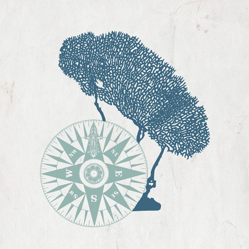 Sea Blues 3 Poster Print by Allen Kimberly # KASQ1623B