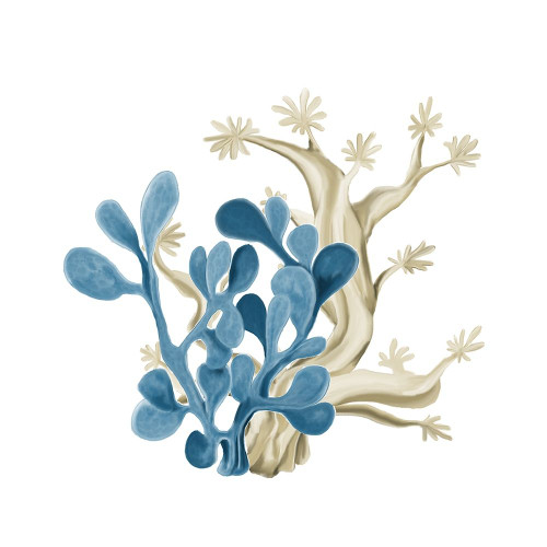 Coastal Coral 3 Poster Print by Allen Kimberly # KASQ1651B