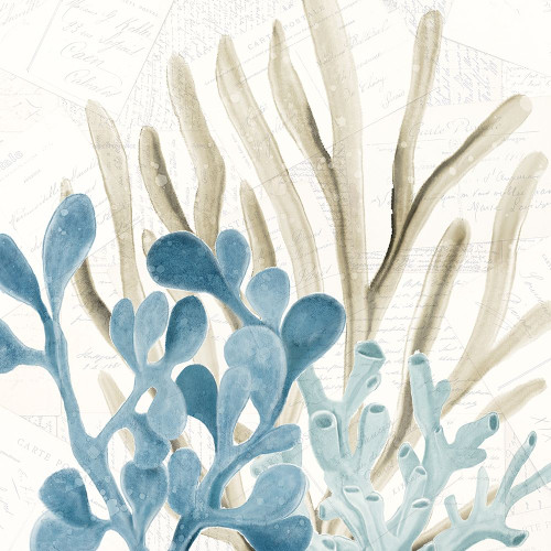 Coral Square 3 Poster Print by Allen Kimberly # KASQ1652C