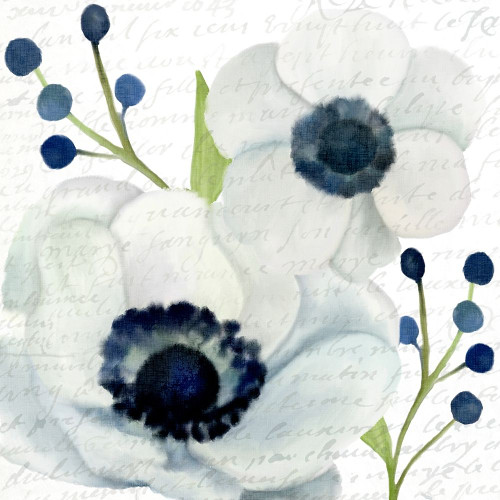 Anemone Square 1 Poster Print by Allen Kimberly # KASQ1633A