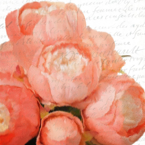 Peony Bunch Poster Print by Allen Kimberly # KASQ1595A